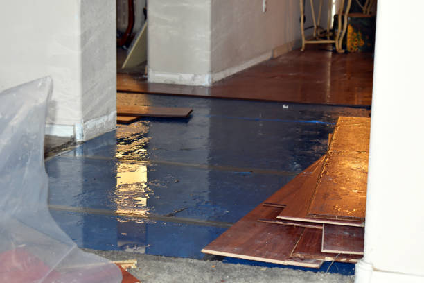 Professional Burst Pipe Cleanup technician working in Lake Odessa, MI