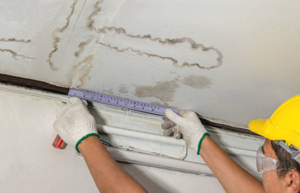 Reliable Burst Pipe Cleanup contractor in Lake Odessa, MI by Local Water Damage Repair